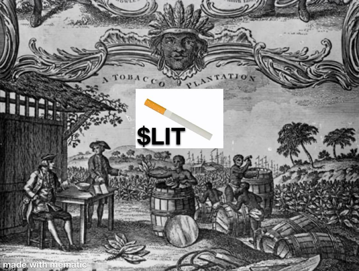 lit-plantation